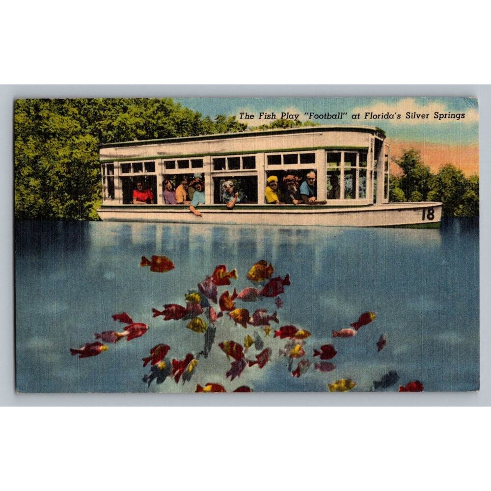 Vintage Silver Springs Florida Fish Play Football Glass Bottom Boat Postcard